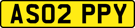 AS02PPY