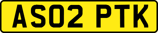 AS02PTK