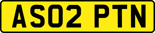 AS02PTN