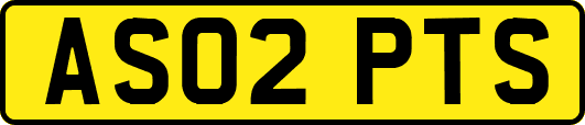 AS02PTS