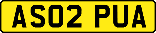 AS02PUA