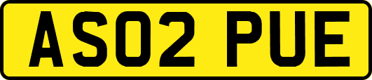 AS02PUE