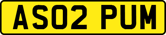 AS02PUM