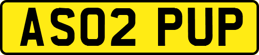 AS02PUP
