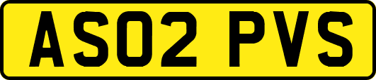 AS02PVS