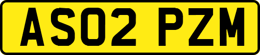 AS02PZM