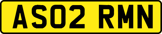 AS02RMN