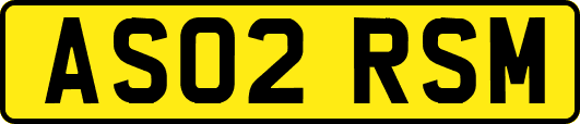 AS02RSM