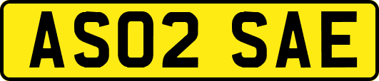 AS02SAE