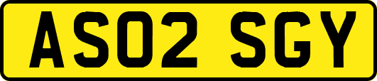 AS02SGY