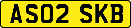 AS02SKB