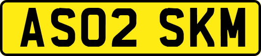 AS02SKM
