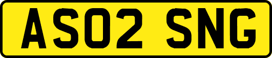 AS02SNG
