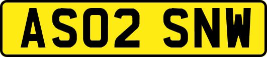 AS02SNW