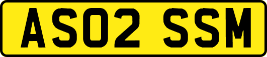 AS02SSM