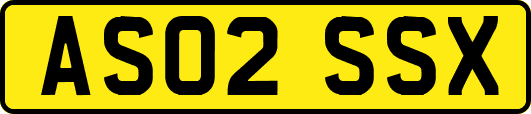 AS02SSX