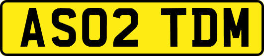 AS02TDM
