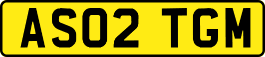 AS02TGM