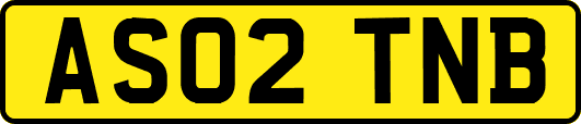 AS02TNB