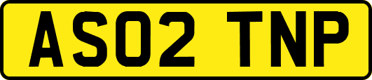 AS02TNP