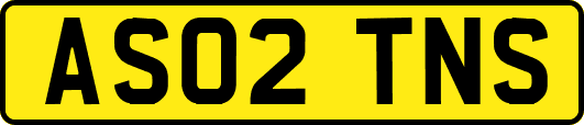 AS02TNS