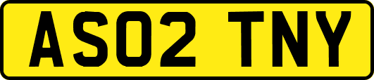 AS02TNY