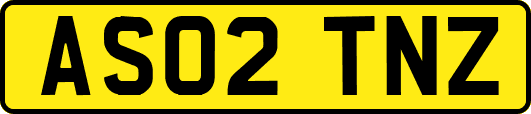 AS02TNZ