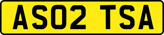 AS02TSA