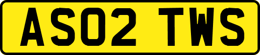 AS02TWS