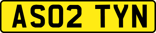 AS02TYN