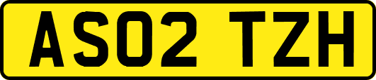 AS02TZH