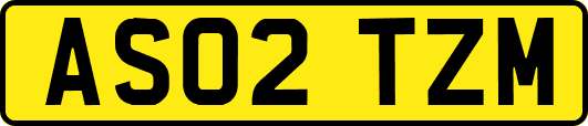 AS02TZM