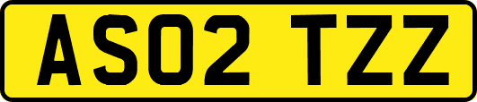 AS02TZZ