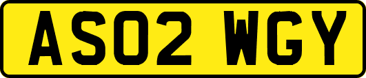 AS02WGY