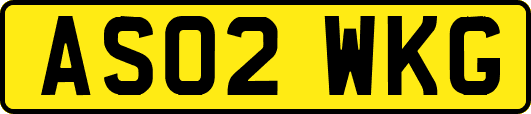 AS02WKG