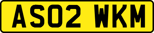 AS02WKM