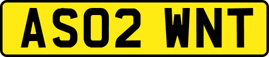AS02WNT