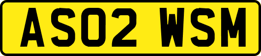 AS02WSM