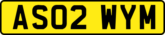 AS02WYM