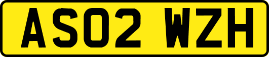 AS02WZH