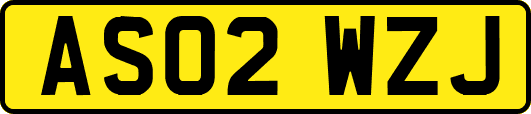 AS02WZJ