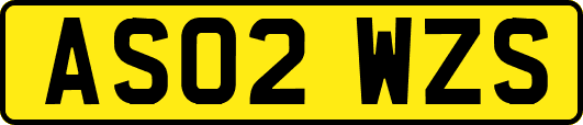 AS02WZS