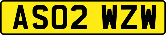 AS02WZW
