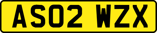 AS02WZX