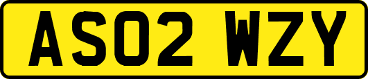 AS02WZY