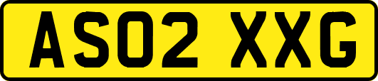 AS02XXG