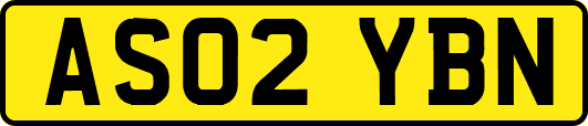 AS02YBN