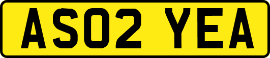 AS02YEA