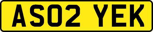 AS02YEK