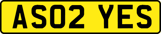 AS02YES